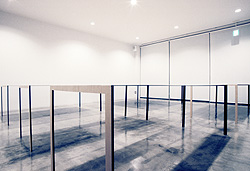 Junya Ishigami