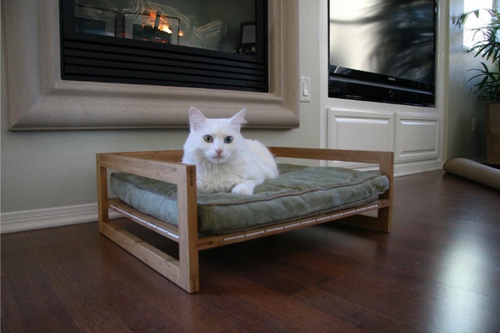 pet2|Ҿ