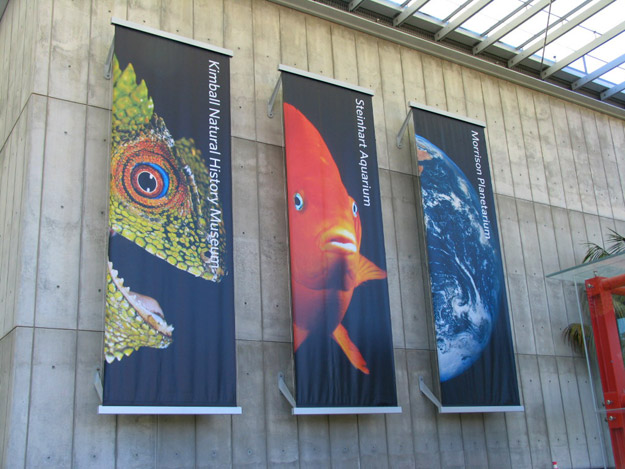 California Academy of Sciences logo c ݿƌW(xu)оĘ(bio)־