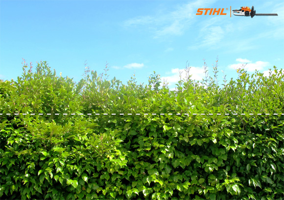 Stihl: Bush