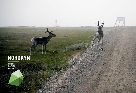 Neue nordkyn Gamvikplace ŲNordkynƳΘ(bio)R(sh)