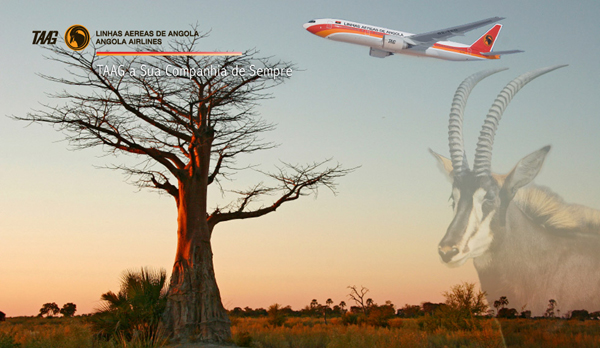 Taag angola airlines brand identity TAAGչ˾ƷƘR