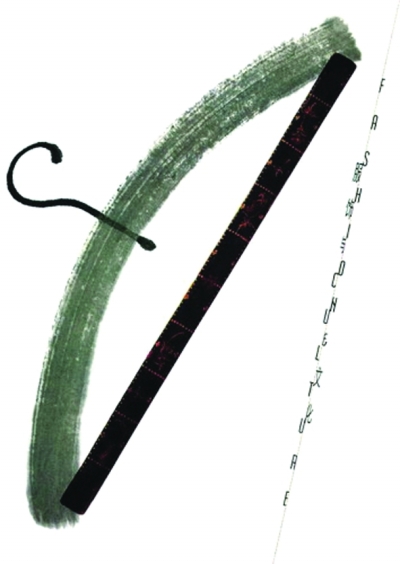 ?cĻչOӋĺƷ