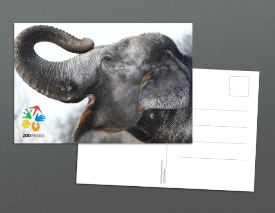 zoo praha card (dng)@Q