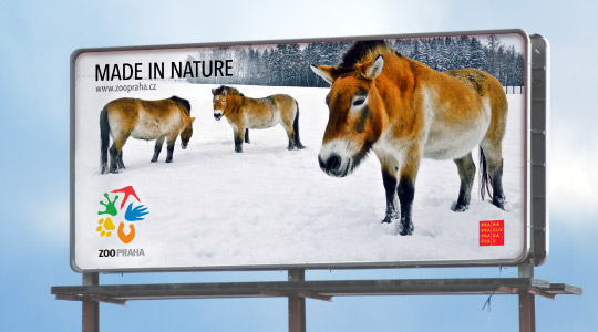 zoo praha ad (dng)@Q