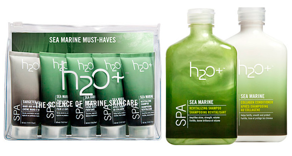 ˮ֥ģ~H2O+(bio)־°b