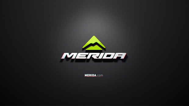 _(d)LOGO