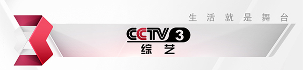 cctv3 new logo 1 ҕCˇll(bio)R(sh)