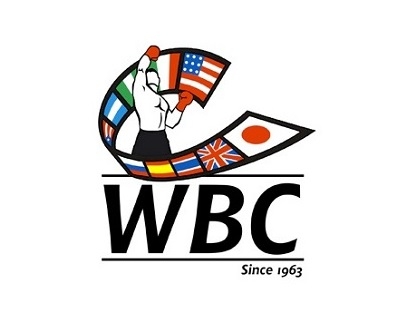 Wbc logo large ȭ(hu)WBCʮQLOGO