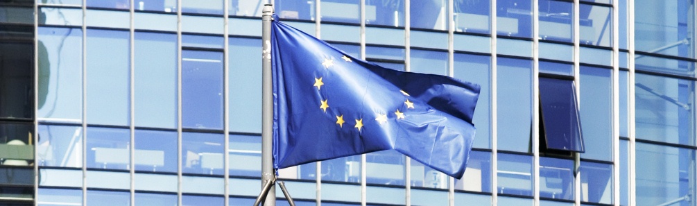 lithuania eu2013 logo 4 (dn)2013°Wֵ݆ϯ(gu)(bio)R(sh) 