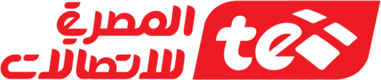 Telecom Egypt logo 2013 Ź˾(Telecom Egypt)Logo