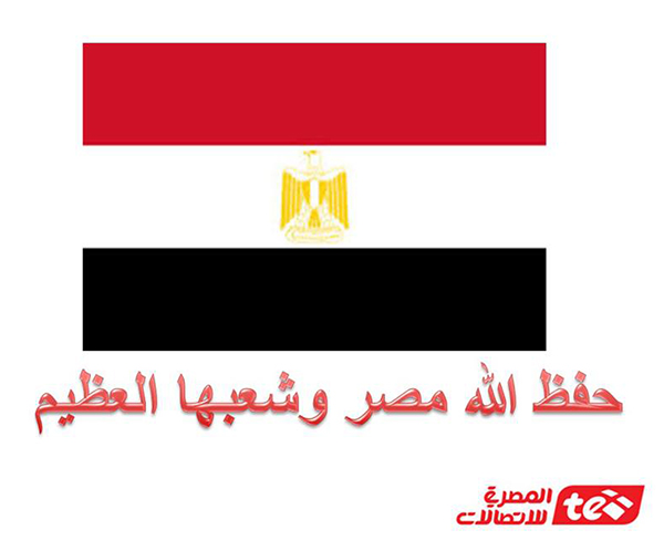 telecom egypt new logo 4 Ź˾(Telecom Egypt)Logo