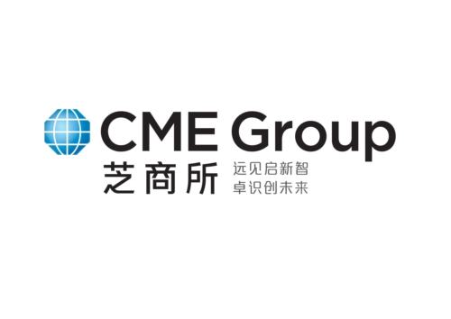 CME GROUP CHINESE BRAND IDENTITY