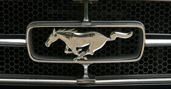 [(gu)܇(ch)(bio)׃ Mustang  50 