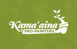 Pro Painters