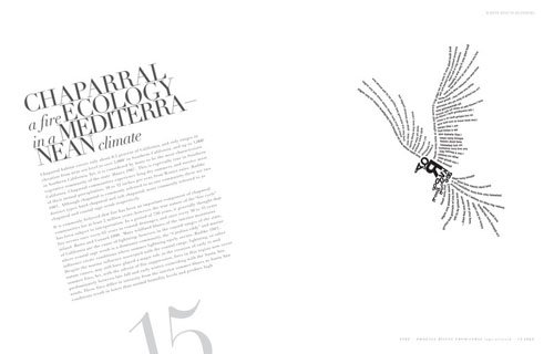 Phoenix Risin in Type