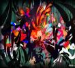 _R၆Stefan Lucut(jng)ƽOӋ