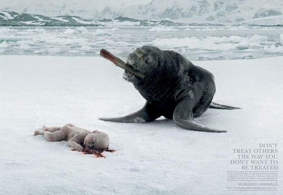 Human for Animals