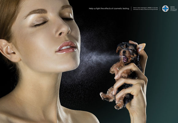 Cosmetic Testing