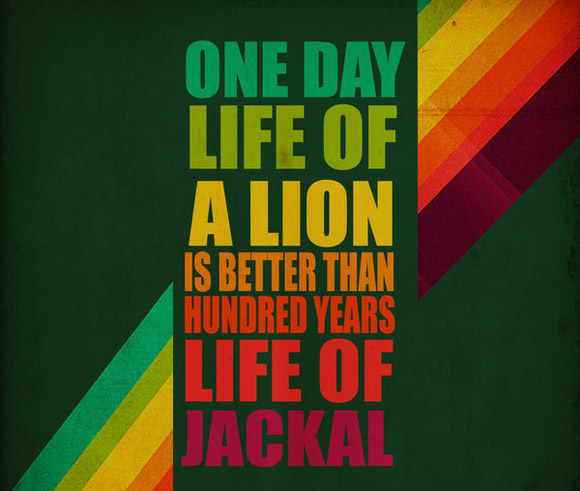Life of a lion