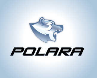 Logo Design: Bears