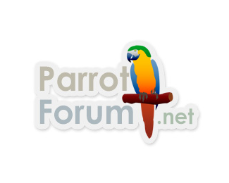 Logo Design: Parrots