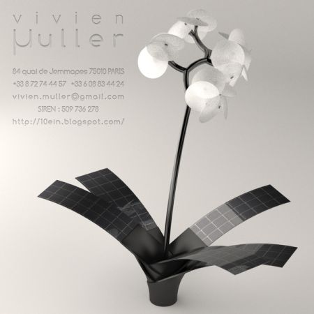 2009072914.jpg
