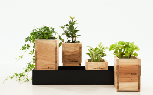 planter -dandan-’ by yuuki kumagai|yupoo.com
