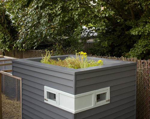 modern-hen-house-3|yupoo.com