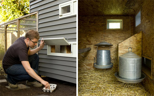 modern-hen-house-4|yupoo.com