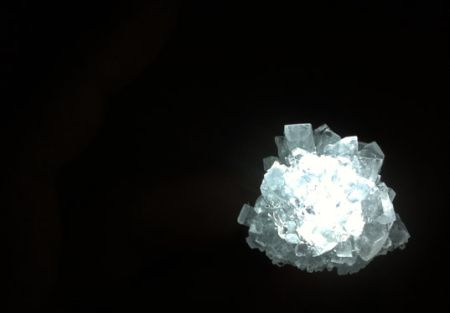 20110428100