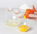 PELEG DESIGN(li)xYolk Fish