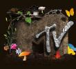 FAO(sh)Ӌ(j)ңMTV.comO(sh)Ӌ(j)