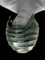 ֹİl(f)ˇg(sh) | Jandan.net