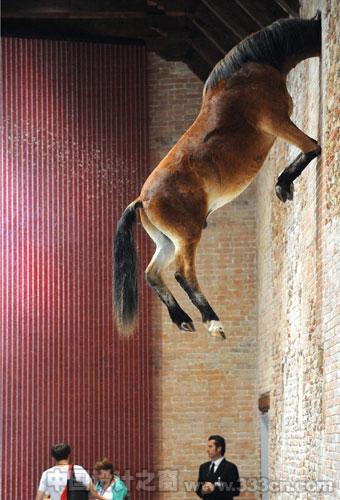 Venice Biennale: Venice Biennale gets under way